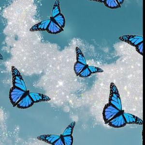 Meet your Posher, Alison